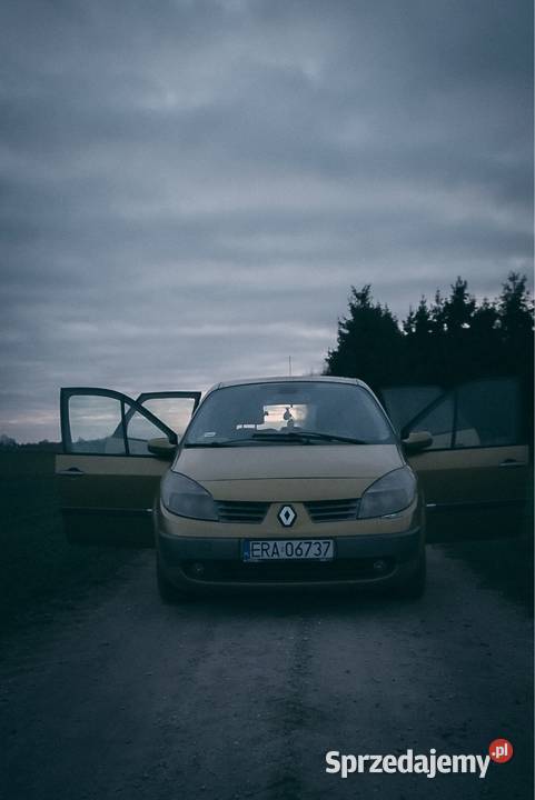 Renault Scenic II 19dci 2004 radio Radomsko