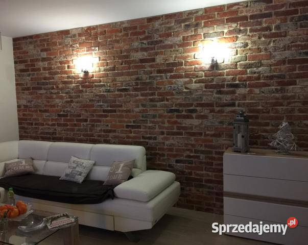 płytki z cegły loft stara cegła lica 1m2 wielkopolskie Pakosław