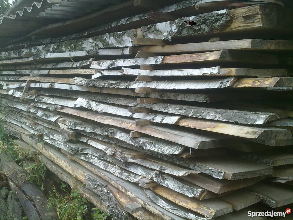 tarcica brzozowa brzoza sucha odziomkowa