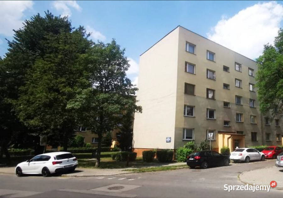 Syndyk sprzeda mieszkanie w Zabrzu 51m2