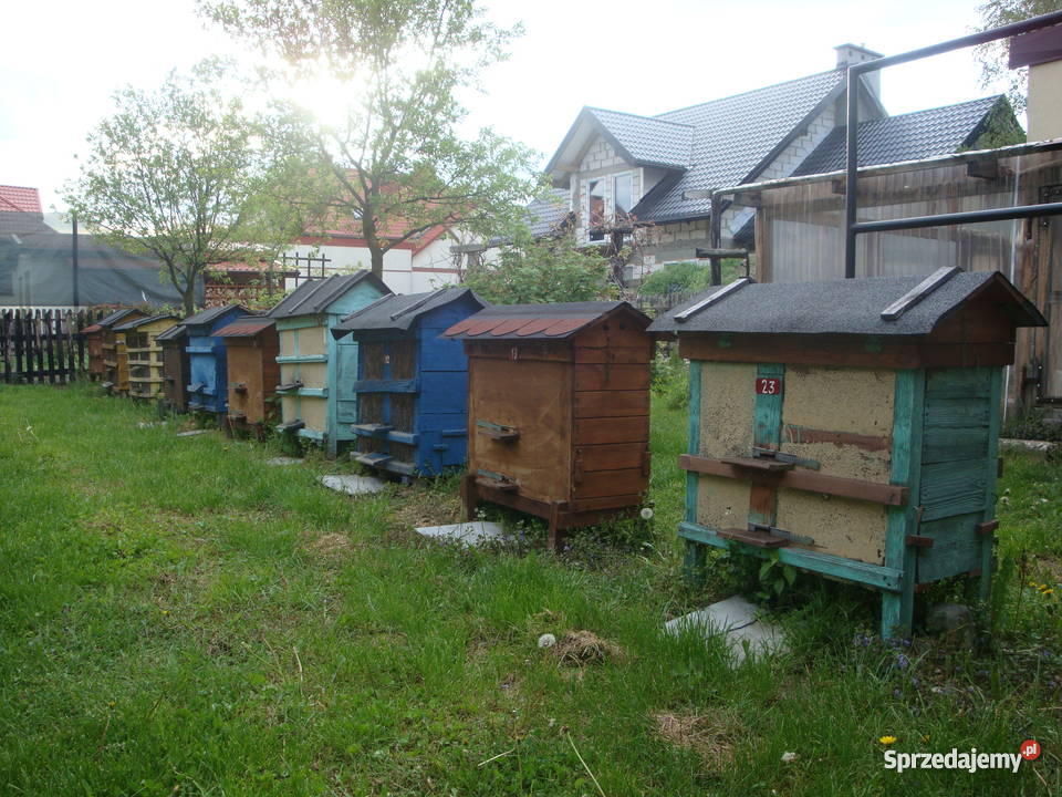 Pszczoły ule Mętów sprzedam