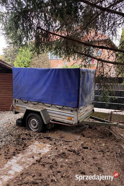 Przyczepka lekka Neptun bez dok wielkopolskie Poznań