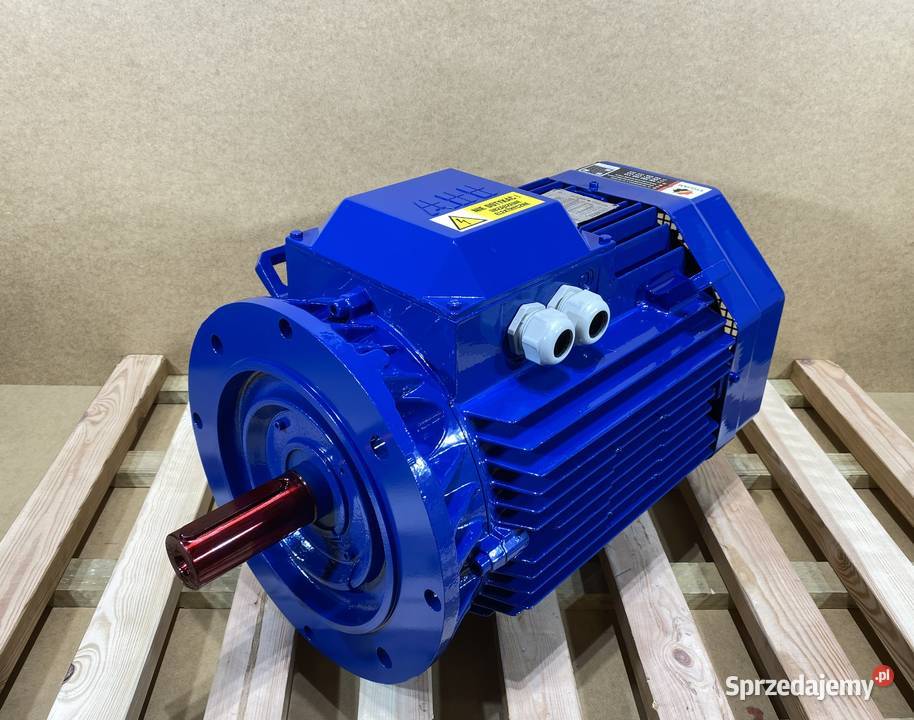 silnik elektryczny 22kW 2930obr 3fazowy ABB Pigża