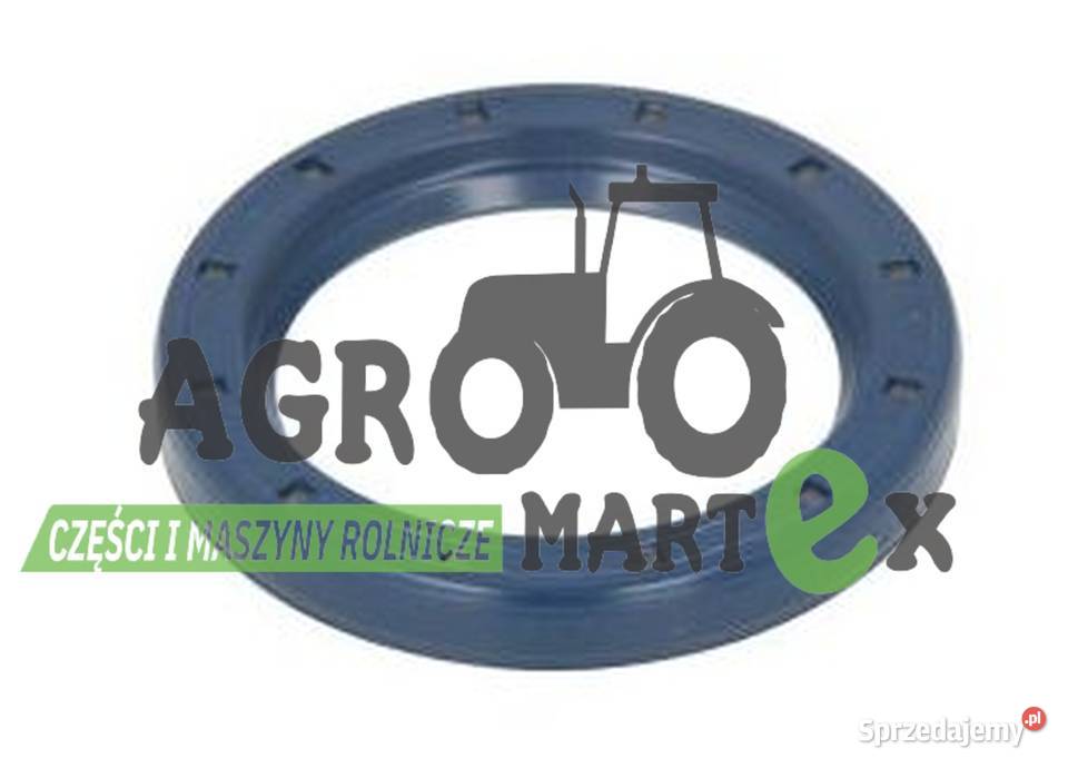 381860 80381860 09630110 USZCZELKA OLEJOWA CNH Części zamienne