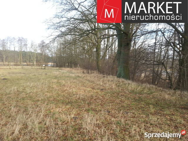 Grunt 2540m2 Zabierzewo 2540m2 zachodniopomorskie