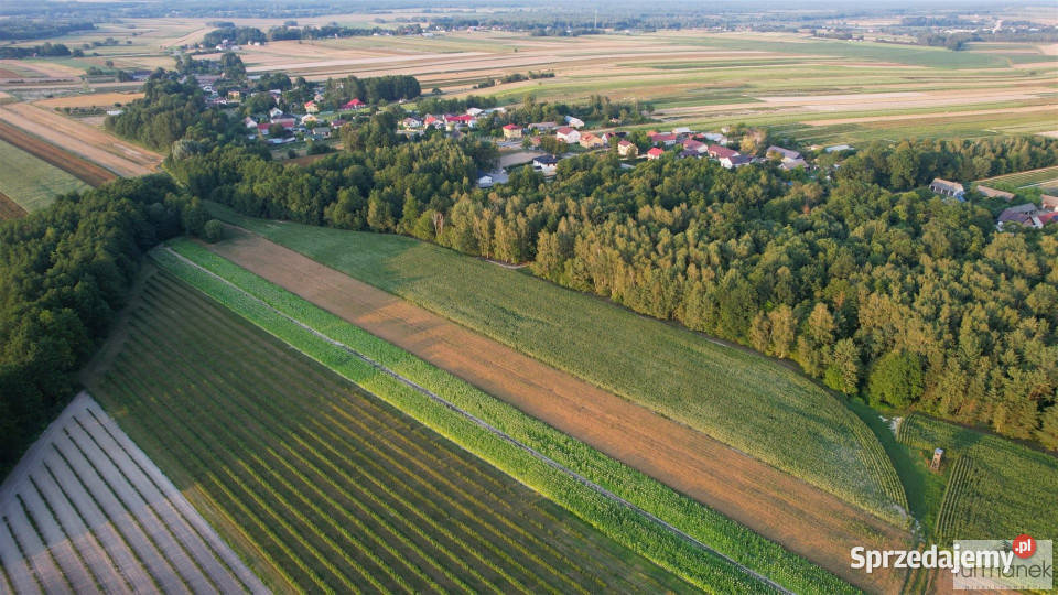 Działka Rakówka 22400m2