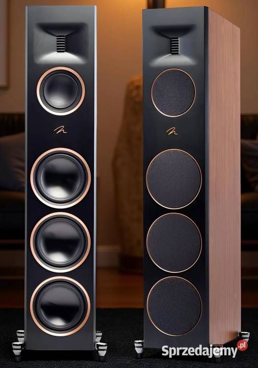 Głośnik podłogowy MartinLogan Motion XT F200 Warszawa