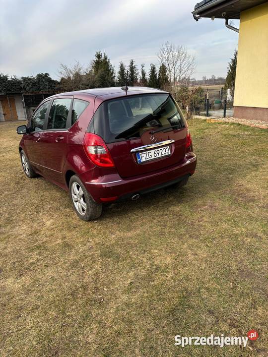 Audi a3 8p 20TDI A3 Małomice sprzedam