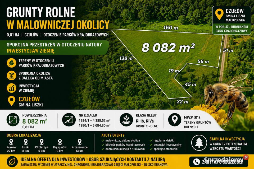 Rolna w urokliwej okolicy rolna Czułów sprzedam