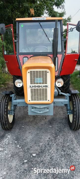 Ursus C360 produkcji 1980 Nasiegniewo