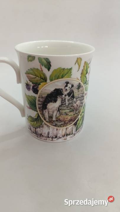 Kubek England pies owczarek collie sprzedam
