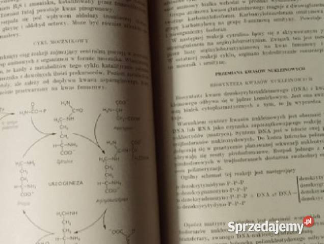 Enzymologia Kliniczna ESzczeklik medycyna Łódź