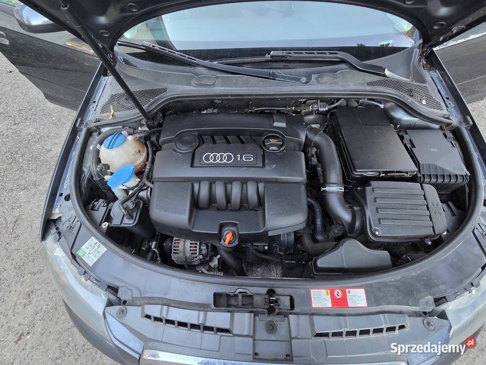 Audi A3 Sportback 16 MPI zadbane ESP Zarzecze
