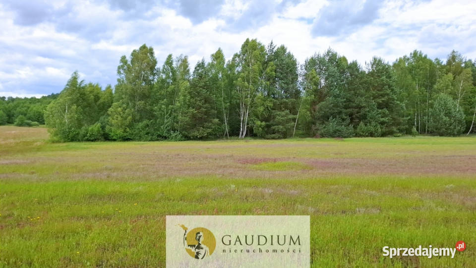 DUŻA DZIAŁKA ROLNA Z LASEM MĘCIKAŁ gm Brusy utwardzona pomorskie