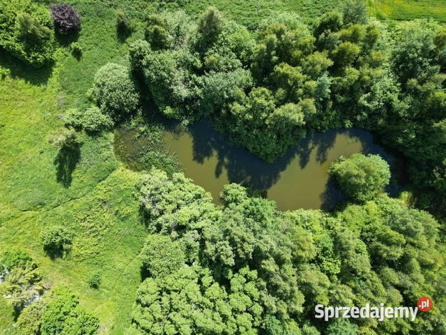 Piękna działka pod siedlisko Gdańsku Glincz