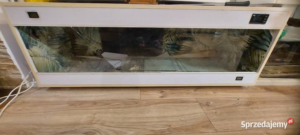 Terrarium Terrarystyka Tychy