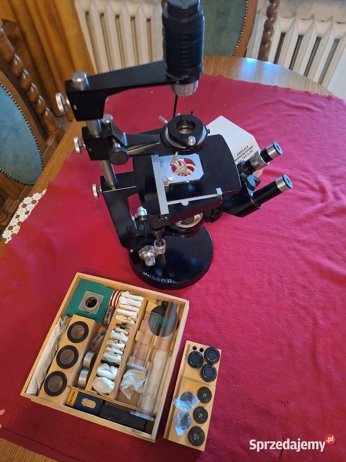 Mikroskop PZO Odwrócony wielkopolskie Piła