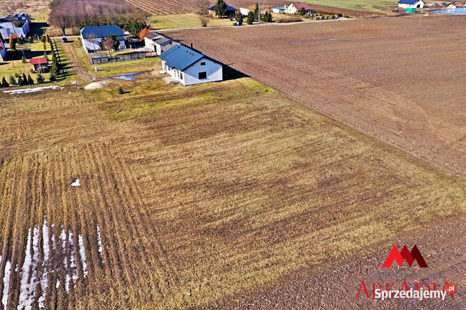 Grunt 1411m2 Skórzno