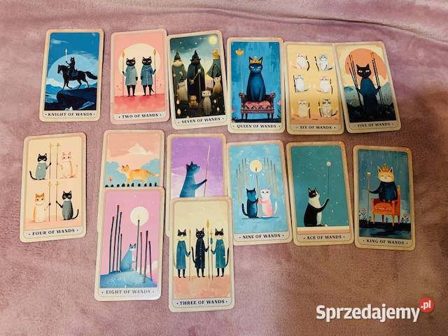 Karty The Meow Tarot Warszawa sprzedam