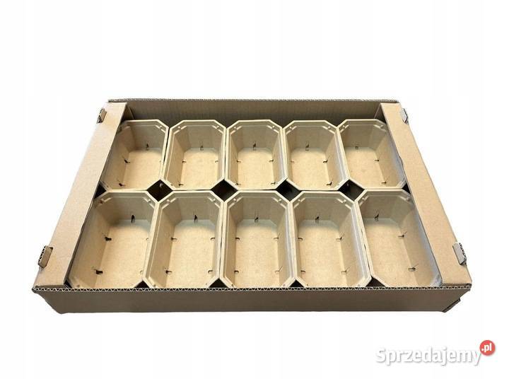 POJEMNIKI NA OWOCE MALINY TRUSKAWKI BORÓWKI Skrzynki i opakowania Warszawa