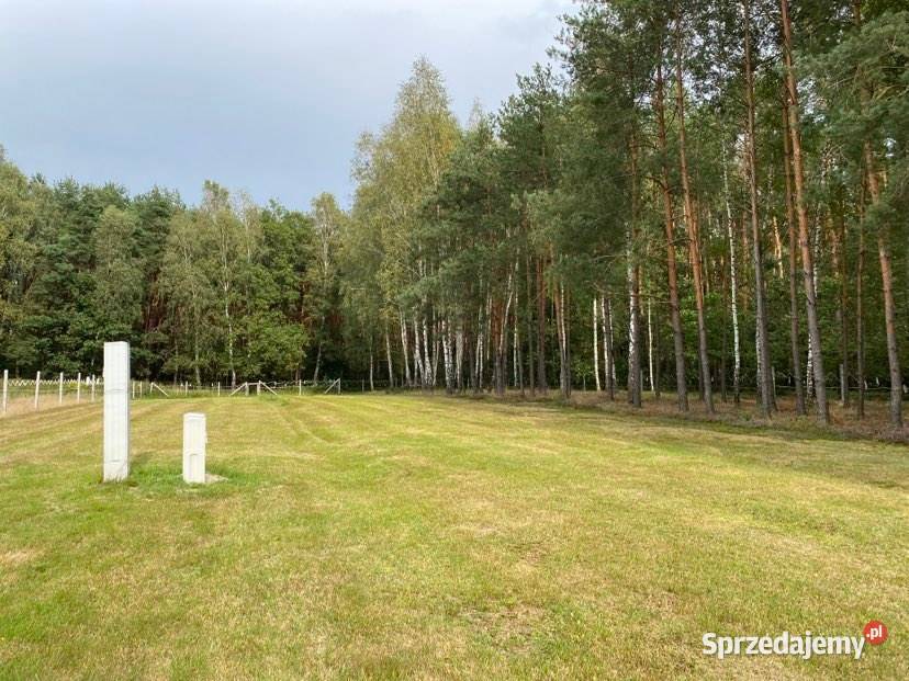 Wyjątkowa działka warunki zabw oazie Samogoszcz