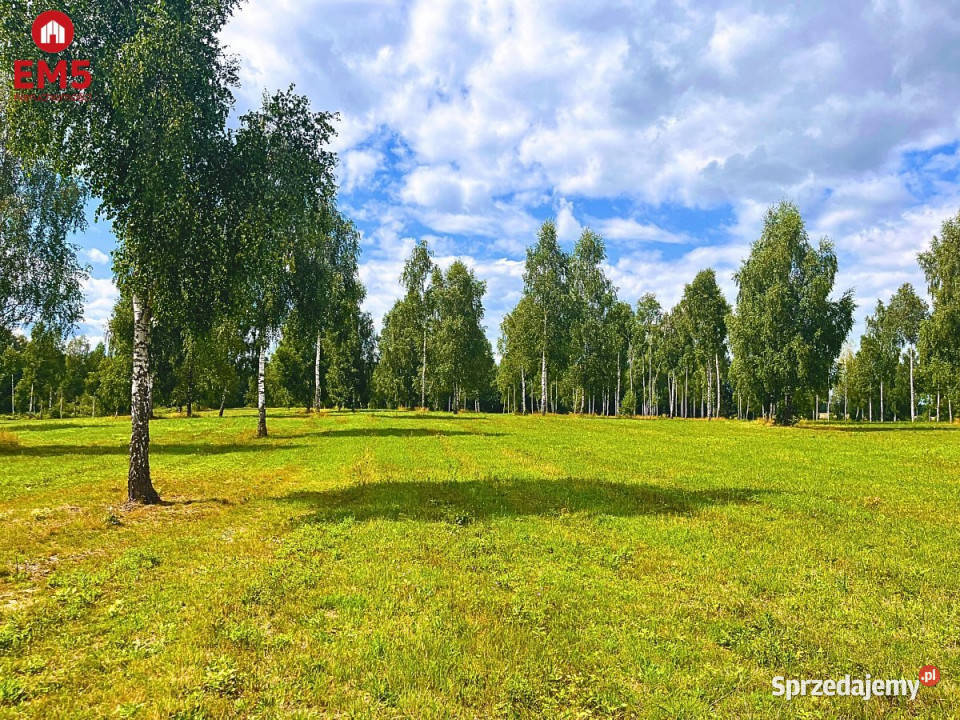 Sprzedaż działki 1500m2 Małdyty Sprzedaż