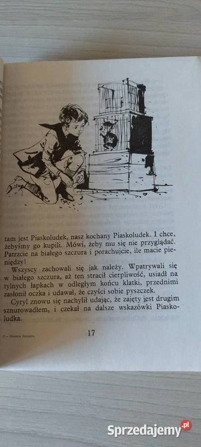 Historia amuletu Edith Nosbit Książki dla dzieci Lublin