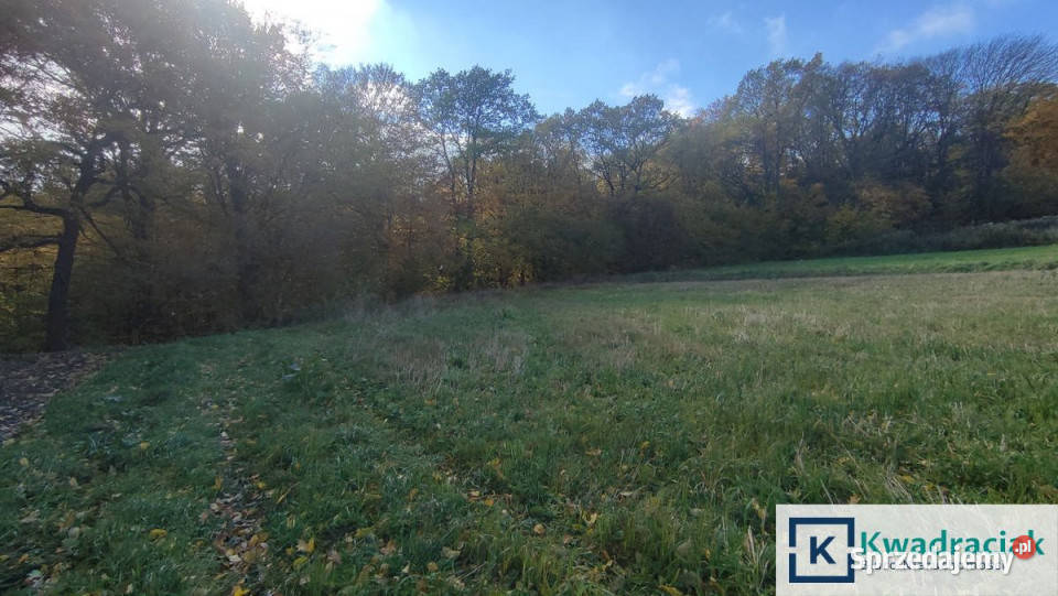 Sprzedaż działki 1837m2 Laski 43zł/m2