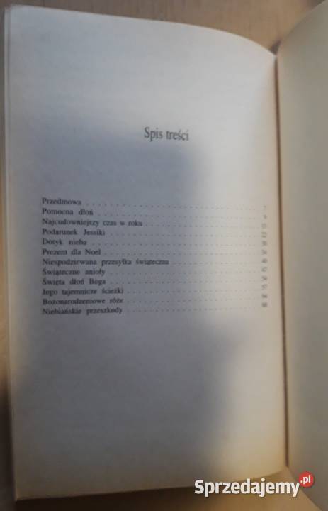 Bożonarodzeniowe opowieści niezwykłe Karen literatura piękna - proza zagraniczna Suwałki