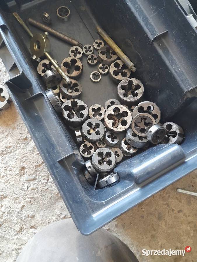 Narzynki Krasne Potockie