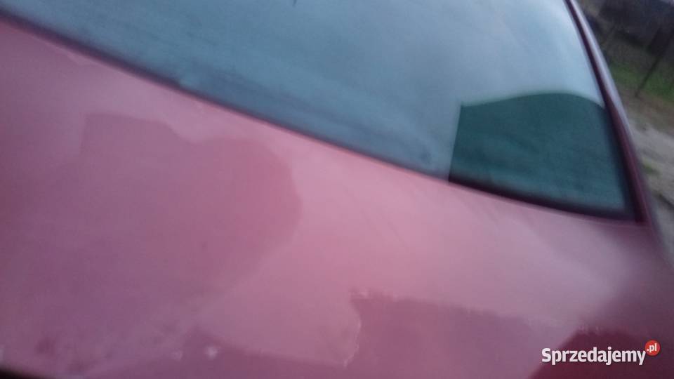 Passat b 5 Końskie