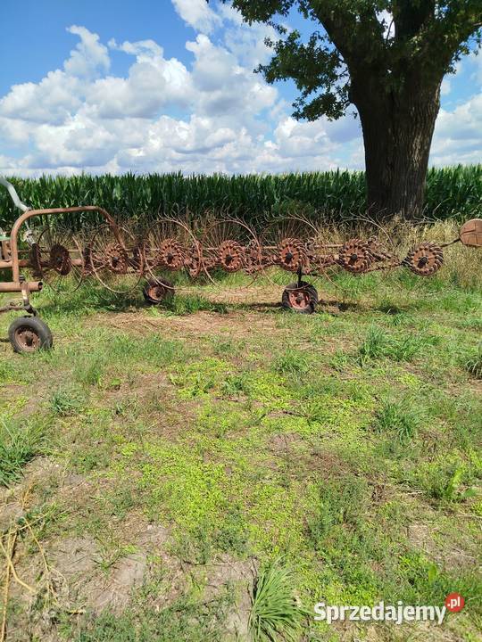 Zagrabiarka gwiazdowa