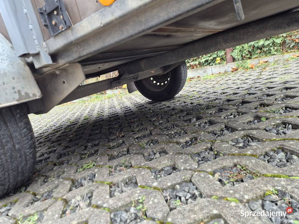 Przyczepa Flamingo Saris lekka 750 25x125m Drogobycza