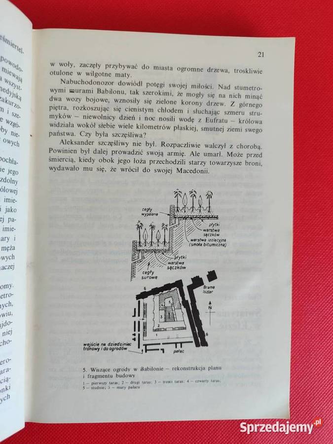 7 37 cudów świata Igor Możejko Katowice sprzedam