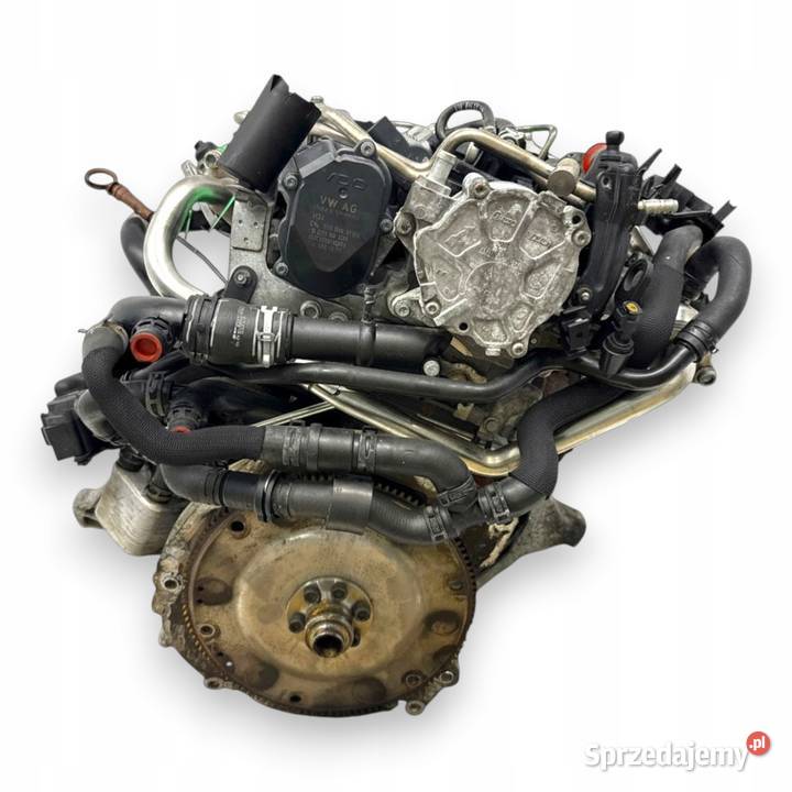 SILNIK CAG CAGA Audi A4 B8 Q5 8R A5 8T Seat Exeo Chełm