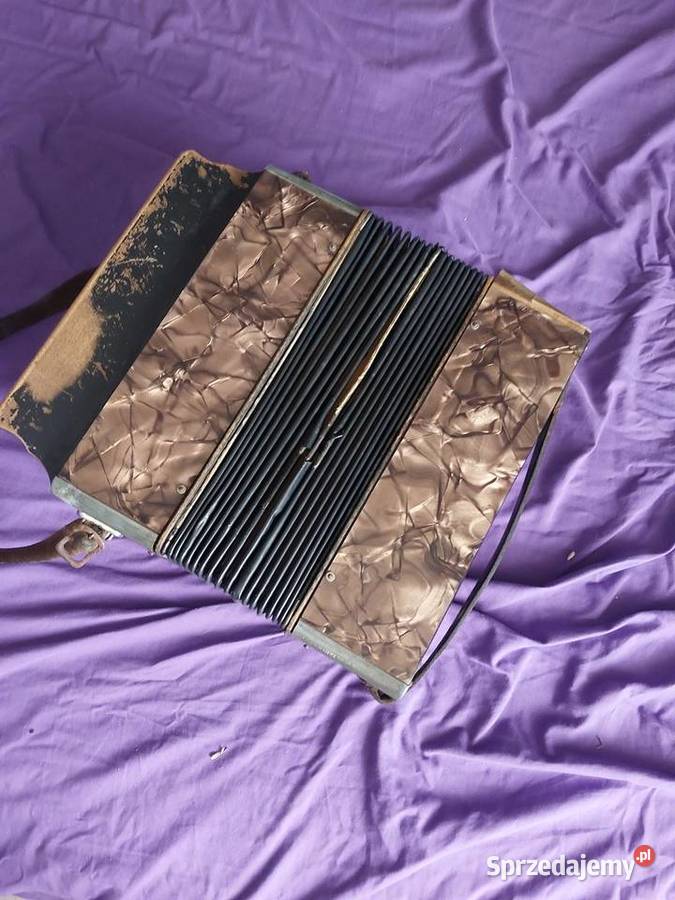 Akordeon Hohner Baby Górne