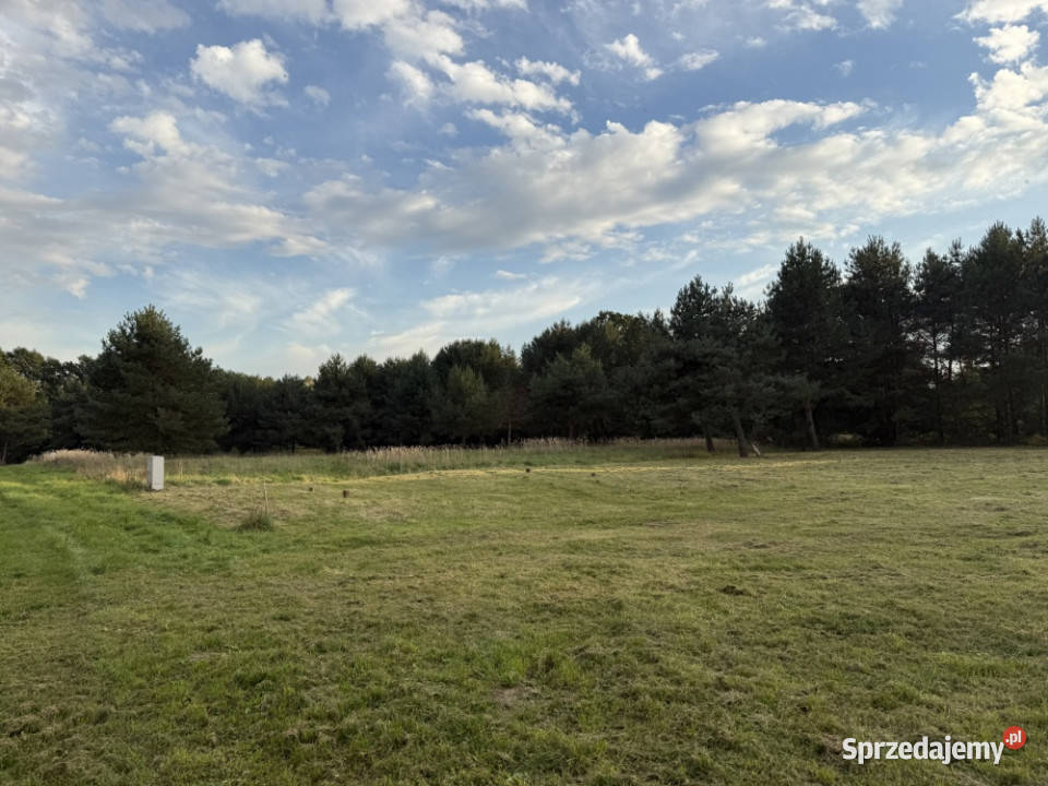 Zielona enklawa pod Wrocławiem 1000 m Prąd MPZP dolnośląskie