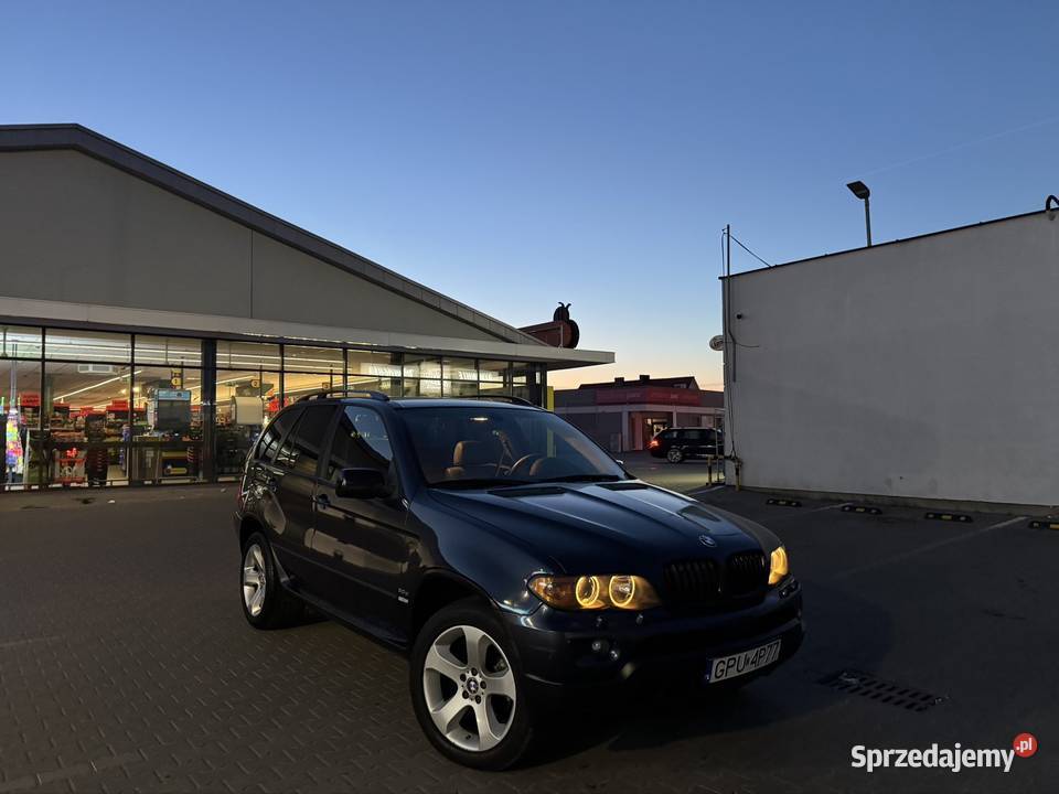 BMW X5 Polift 30d M57 218 koni niebieski wielkopolskie Wronki