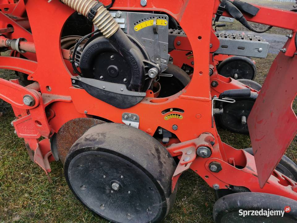 Siewnik kukurydzy Maschio Gaspardo MTR 4ROWS łódzkie
