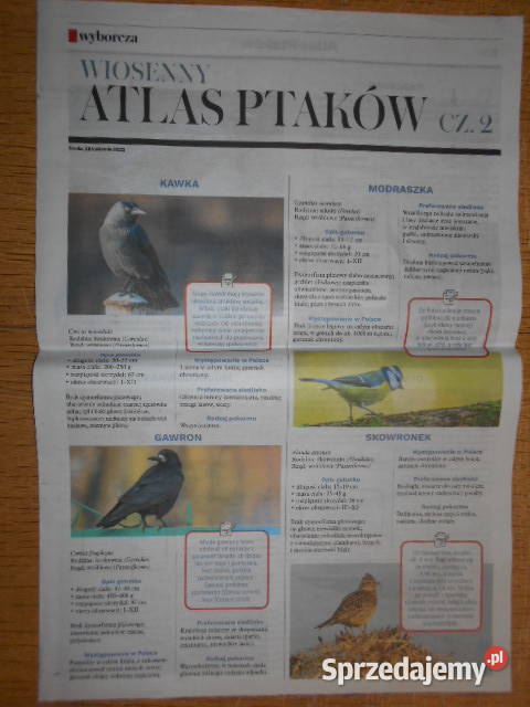 Wiosenny Atlas Ptaków cz III Gazeta Wyborcza Parczew