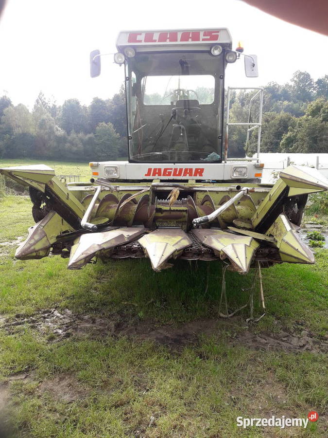 Sieczkarnia do kukurydzy Claas jaguar 695sl małopolskie Stróże sprzedam