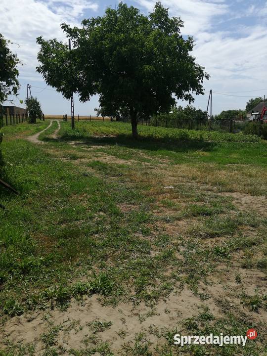 Dom z zabudowaniami gospodarczymi Komorniki