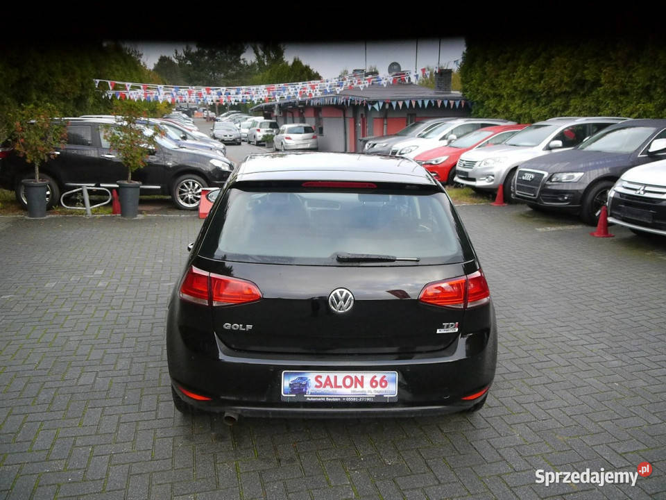 Volkswagen Golf 16tdi 170 Stan b 100bezwypadkowy