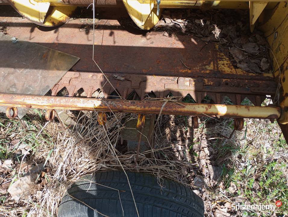 Cheder news Holland 1540 kosa 360 Żnin