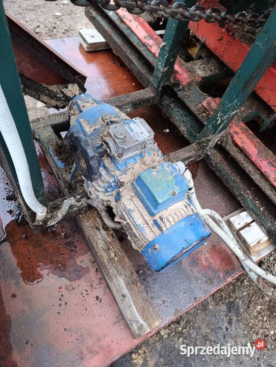 Trak taśmowy pionowy dwugłowicowy mazowieckie Grotki