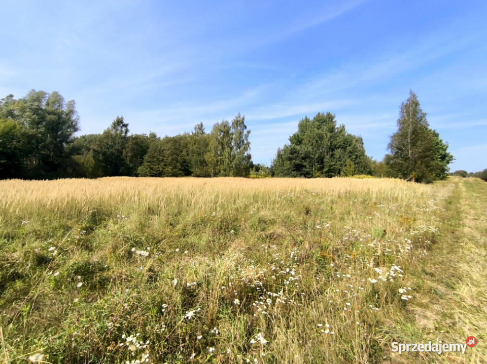 DZIAŁKA USŁUGOWA 2000 m KOBYLIN gmina GRÓJEC
