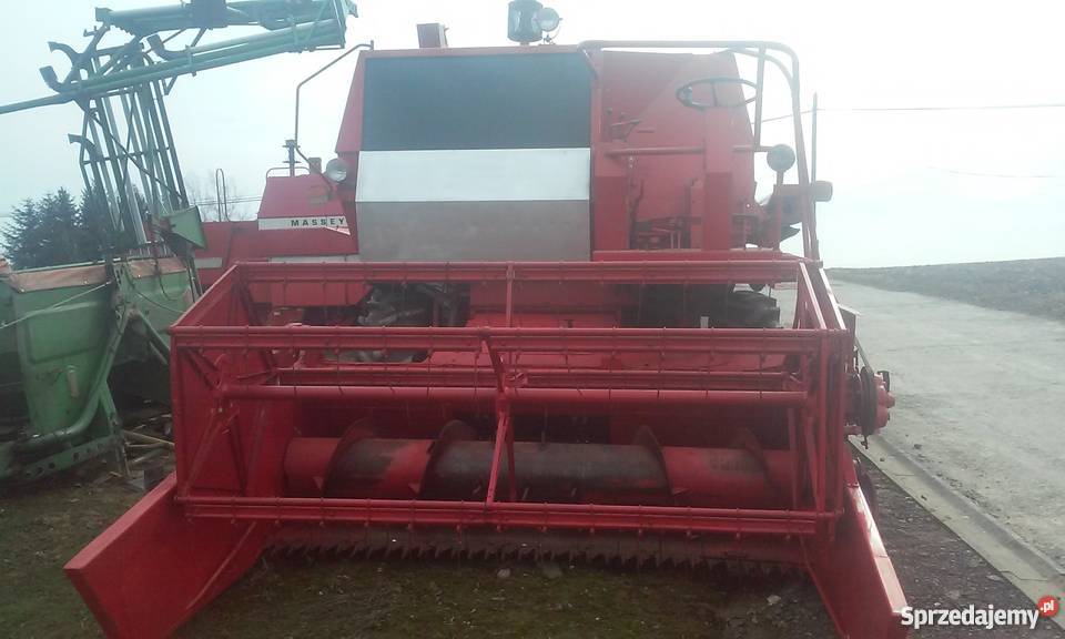 Massey ferguson 307 Massey Ferguson sprzedam