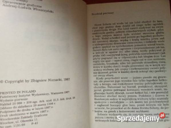 Wielki las Z Nienacki 1987 powieść literatura