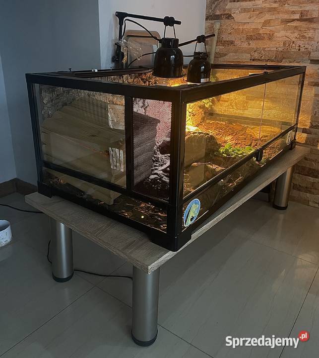 Zestaw 2 żółwie terrarium ReptiZoo z zachodniopomorskie Koszalin