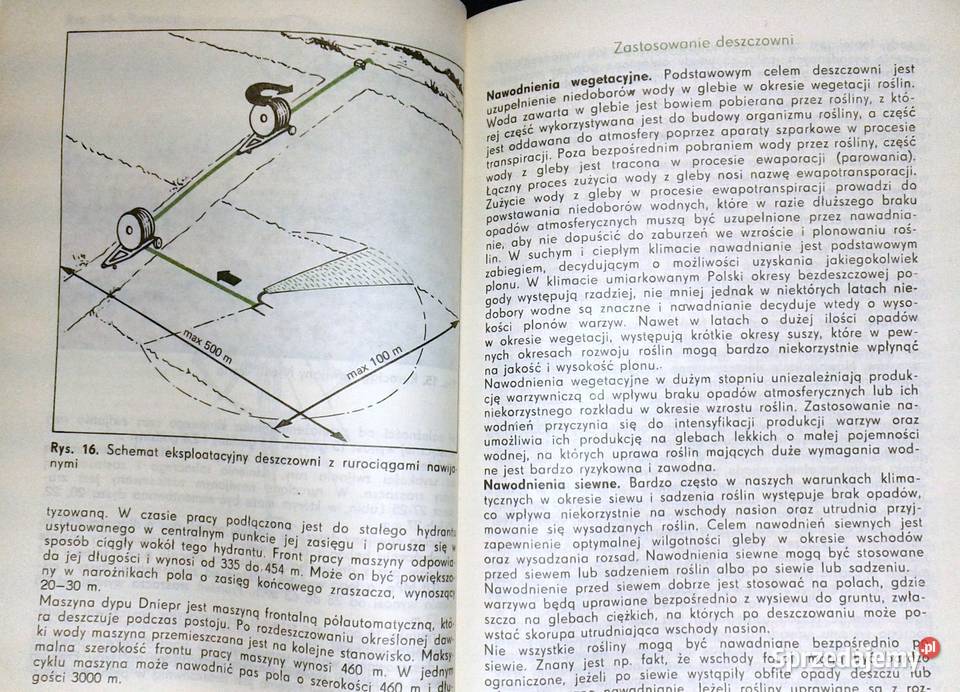 Nawadnianie warzyw Stanisław Kaniszewski